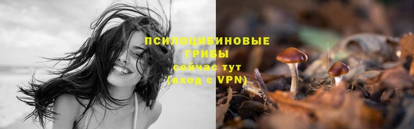 дурь Остров